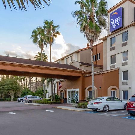Sleep Inn Near Busch Gardens - Usf Temple Terrace Kültér fotó