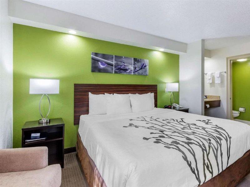 Sleep Inn Near Busch Gardens - Usf Temple Terrace Kültér fotó
