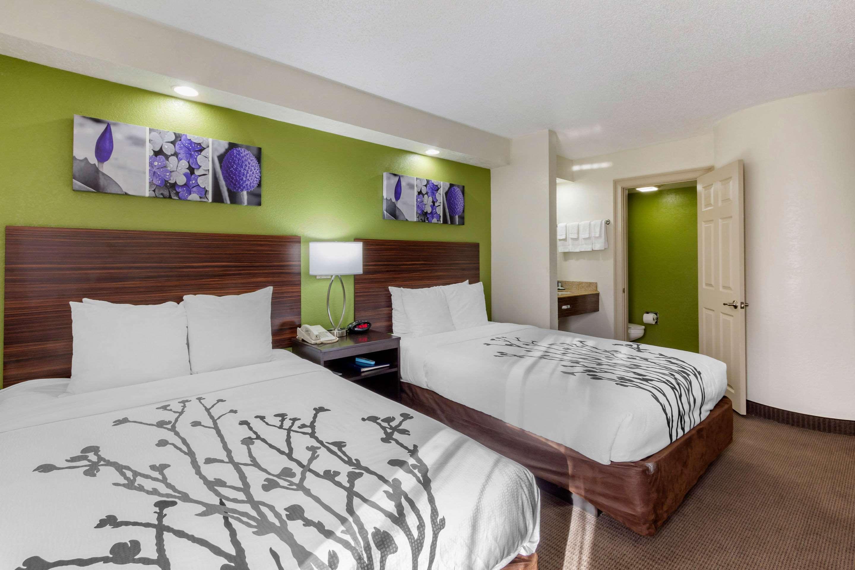 Sleep Inn Near Busch Gardens - Usf Temple Terrace Kültér fotó
