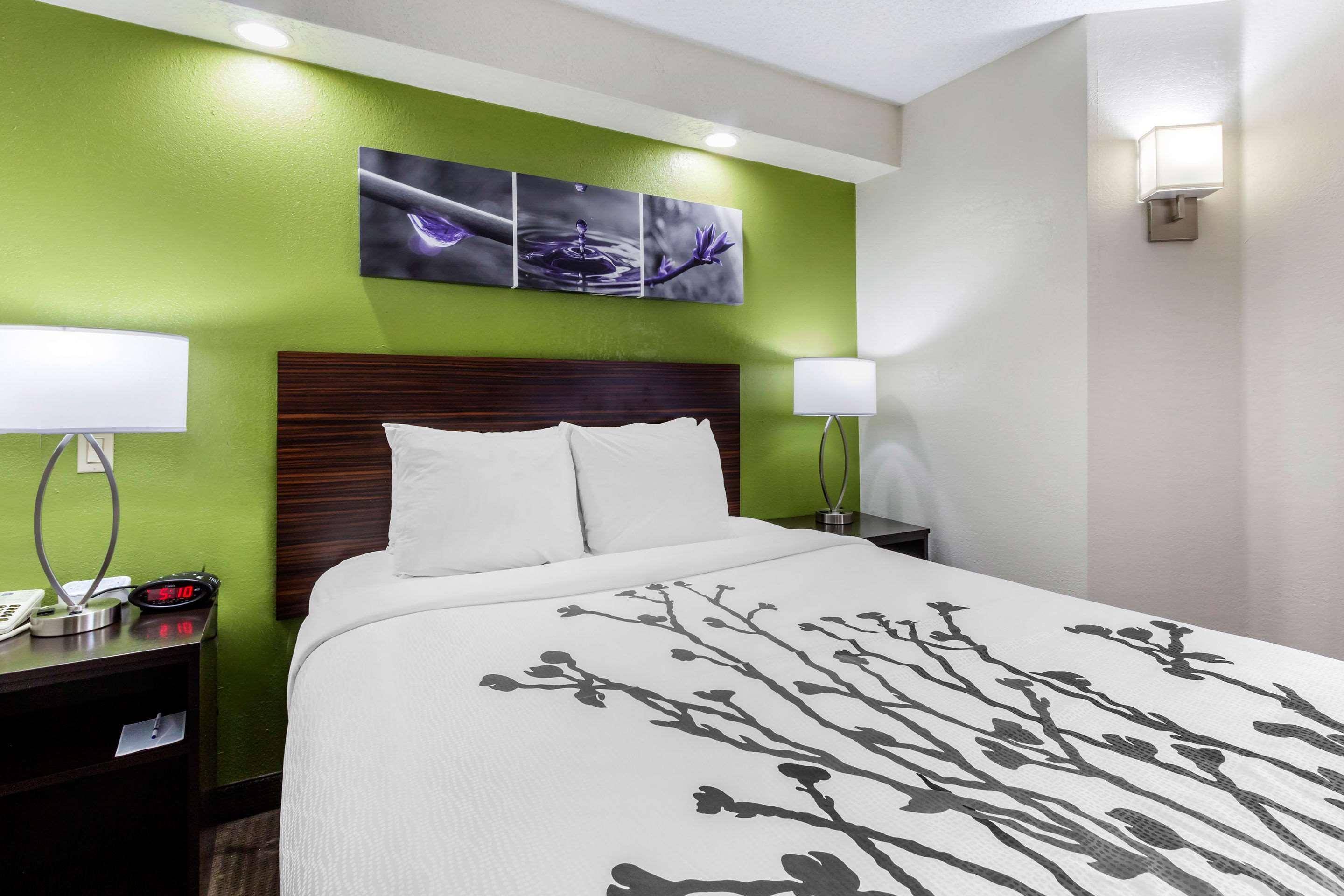 Sleep Inn Near Busch Gardens - Usf Temple Terrace Kültér fotó