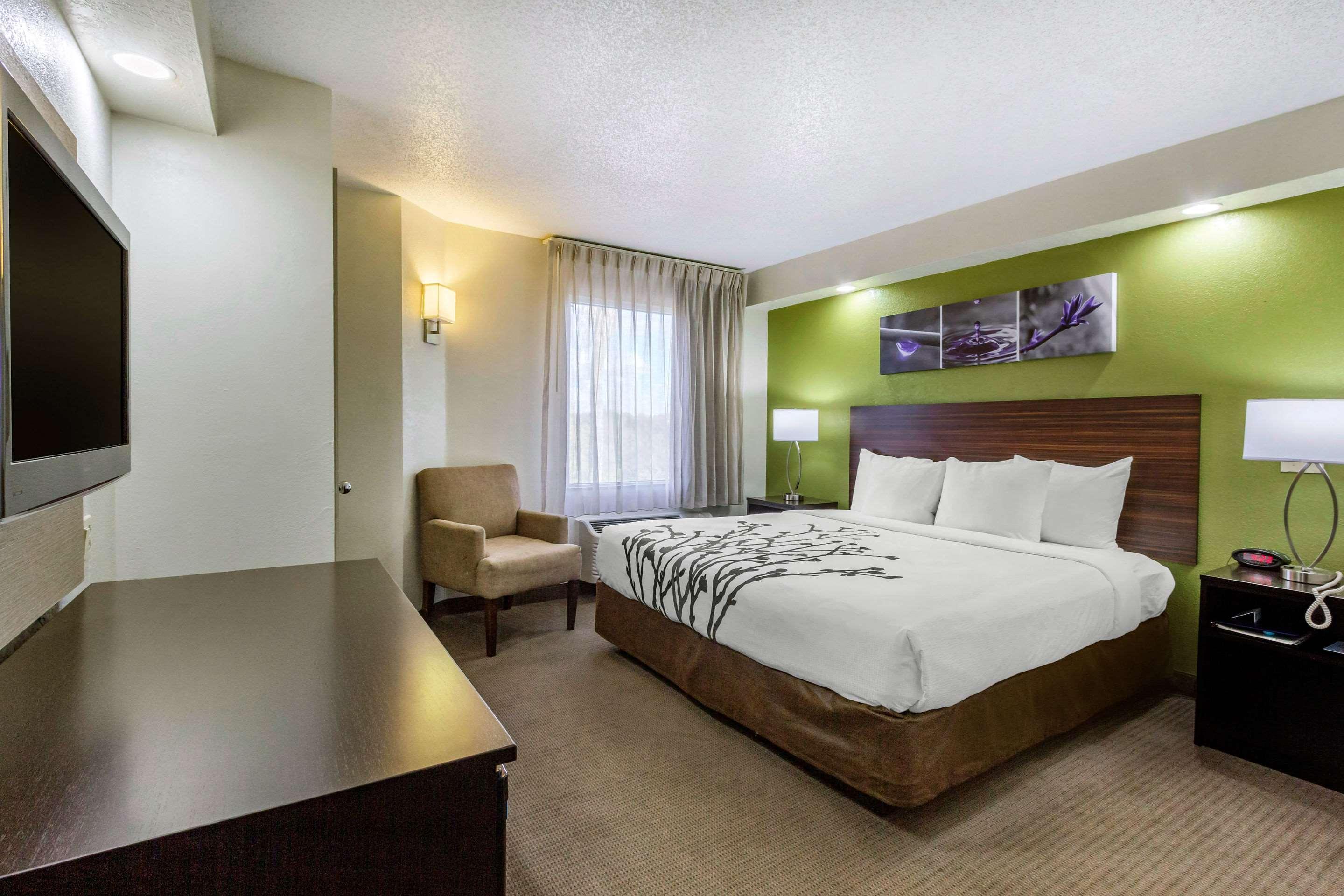 Sleep Inn Near Busch Gardens - Usf Temple Terrace Kültér fotó